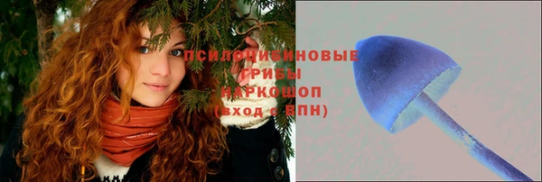 ECSTASY Абдулино