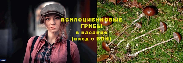 ECSTASY Абдулино