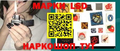 спиды Долгопрудный