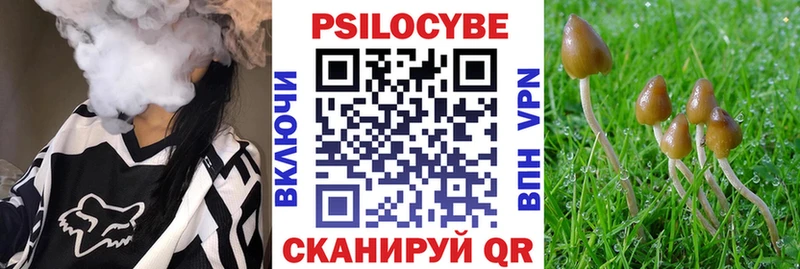 купить  цена  Темрюк  даркнет как зайти  Псилоцибиновые грибы Magic Shrooms 